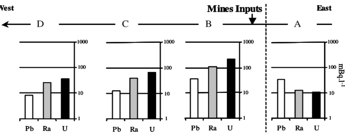 Figure 2.  238 U,  226 Ra and  210 Pb mean activities upstream (point A) and downstream (points B to D) of the inputs  of mine waters