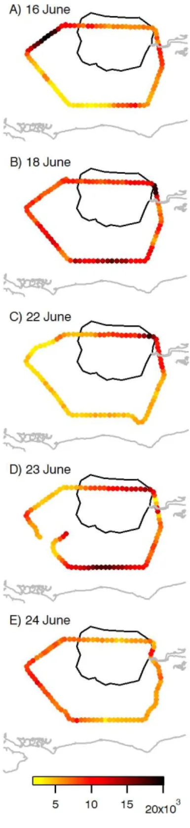 Fig. 7. Number concentrations for particles with D p &gt; 3 nm mea- mea-sured by the ultrafine water-based condensation particle counter for single circuits around London during each flight