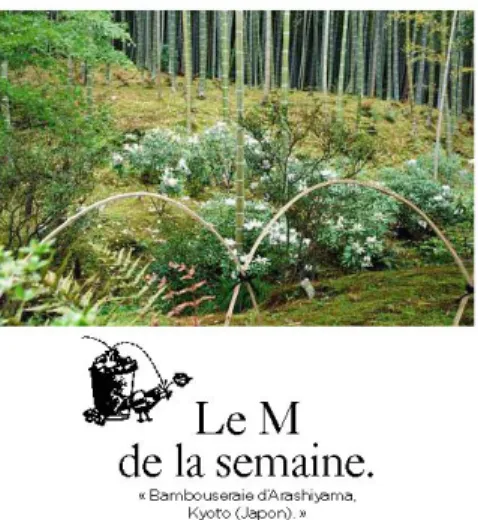 Figure 1 - Mise en page Magazine M du Monde 