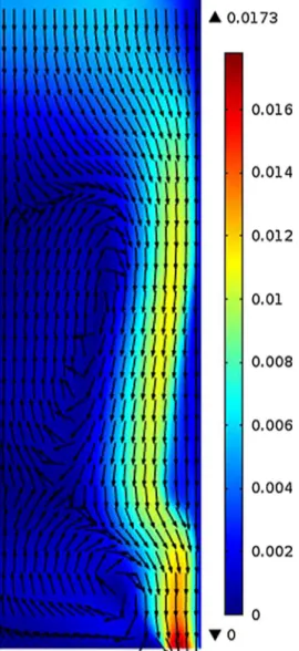 Figure 17. Velocity ﬁ eld WITH Buoyancy force.