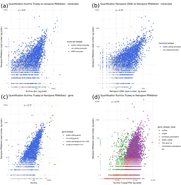 Figure 5.  Comparison of quantifications. Transcripts or genes annotated as protein-coding are in blue