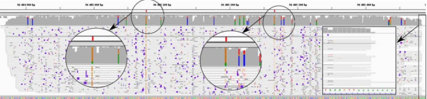 Figure 5d shows that mapping long reads to the genome with Minimap 2 (-ax splice) (as used in 11 ) results  in the mis-quantification of processed pseudogenes (green points in Fig. 5d)