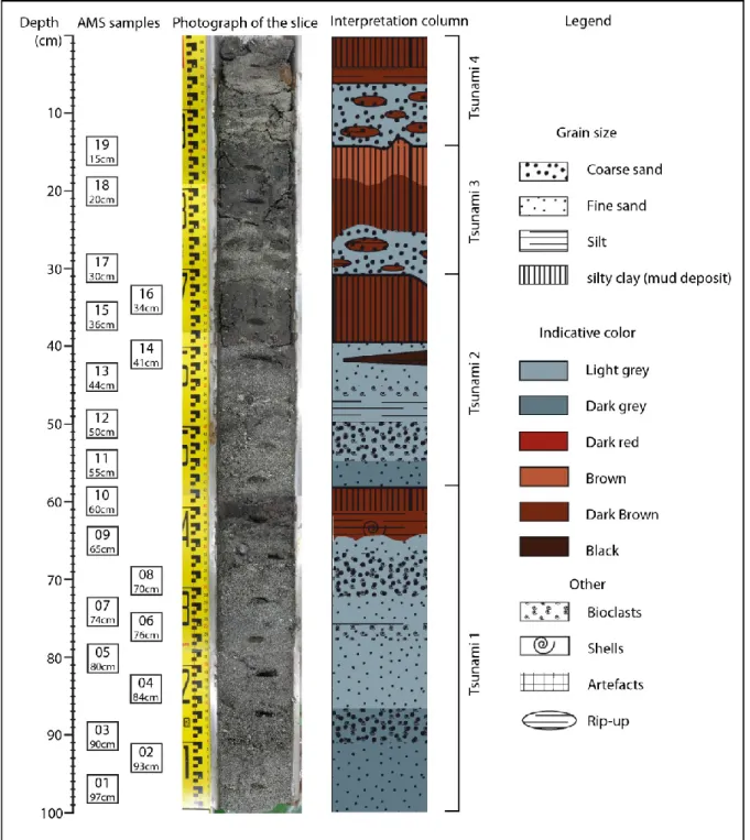 Fig. 1 Core from Agawapond with the samples. 