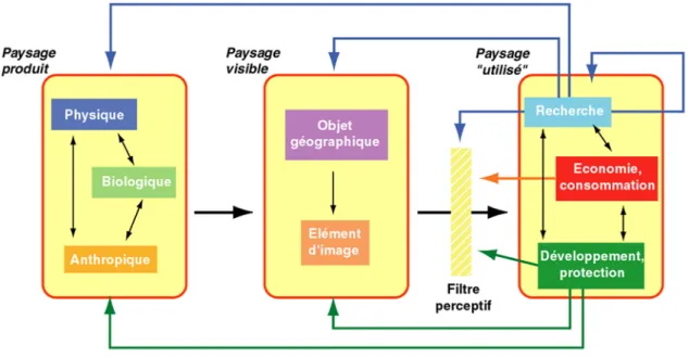 Figure 9 - Le poly-système paysage (source : Brossard, Wieber, 1984) 