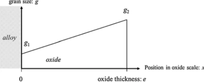 Fig. 3. schematic representation of a linear grain size evolution in the oxide scale.