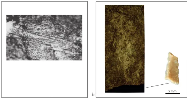 Fig. 12 : Les diférents types d’endommagements microscopiques : deux types de microtraces linéaires  d’impact