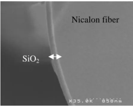 FIGURE 2.  Silica ring on a Nicalon fiber after 408 h ageing at 600°C in dry air 