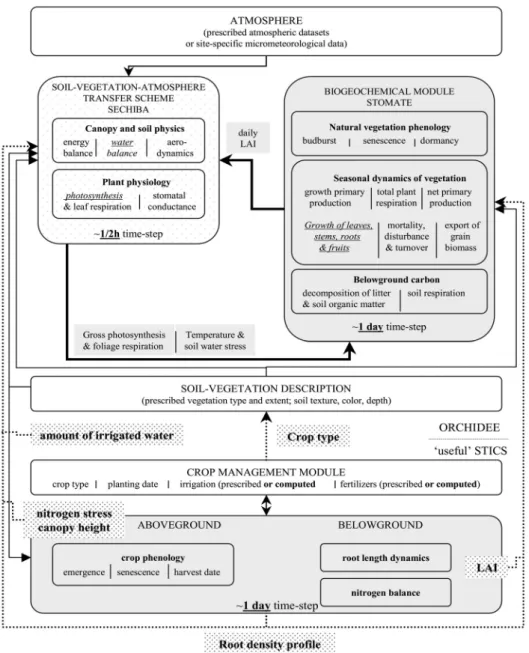 Figure 3. Schematic of ORCHIDEE-STICS, an altered version of ORCHIDEE [24]. ORCHIDEE-STICS incorporates agro-ecosystems using crop phenology, crop management (e.g