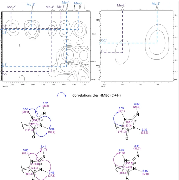 Figure n°68 - Corrélations clés HMBC et déplacements chimiques des deux isomères X (Solvant : CD 3 OD) C-3’ 