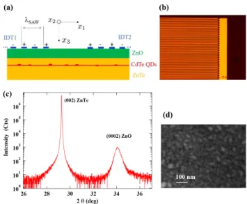 FIG. 1. Calculated strain field of a SAW at 0.75 GHz propagating along [110] in ZnTe. (a) Map of the time dependence of the profile along x 3 of the different strain components calculated for a maximum displacement of 0.27 nm of the surface (adjustable par