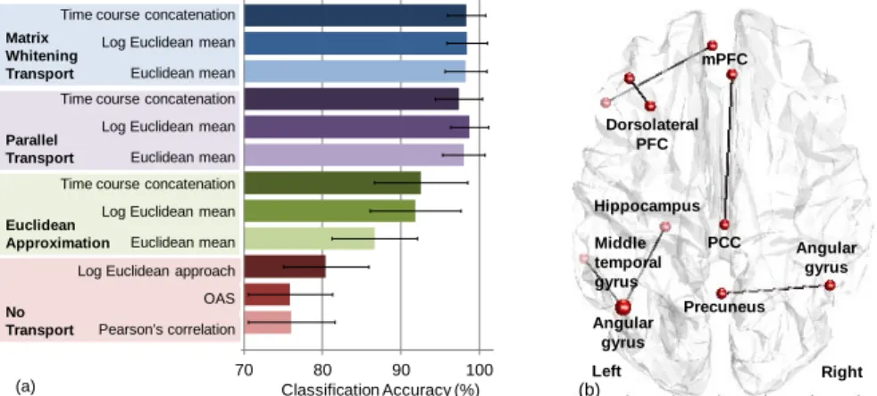 Fig. 2. Classification accuracy and significantly discriminative connections. 