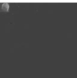 Fig. 1. Example of k-space sampling schemes: selected samples appear in white color. (a): Reference 256 × 256 used in our  ex-periments