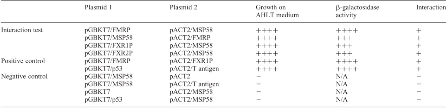 Table 1. MSP58 interacts with FMRP, FXR1P and FXR2P in yeast