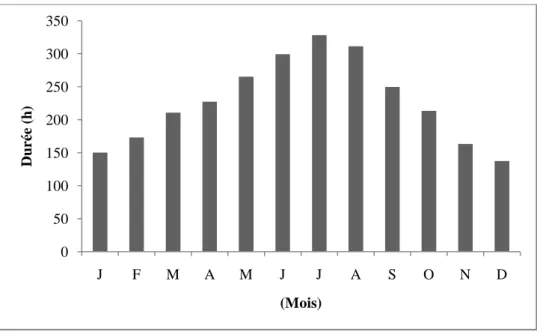Figure 2.17 : Durée moyenne mensuelle d’insolation, station de Boukhalfa, durant la  période 1990-2009  