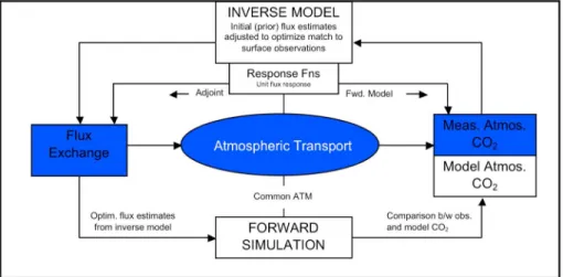 Figure 1. A schematic diagram illustrating the relationship between flux exchange and observed atmo- atmo-spheric CO 2 concentration that is determined by atmospheric transport