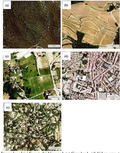 Figure 0.4: Examples of (a) Forest, (b) Vineyard, (c) Grassland , (d) Urban area, (e) Sub-urban  area