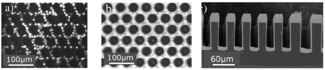 Fig 1 : , a) Micropositioning of Jurkat cells in a paramagnetic medium above this magnetic film, b) Plane-view optical  image of a hard magnetic NdFeB film containing an array of micro-holes c) SEM image of the cross-section of 