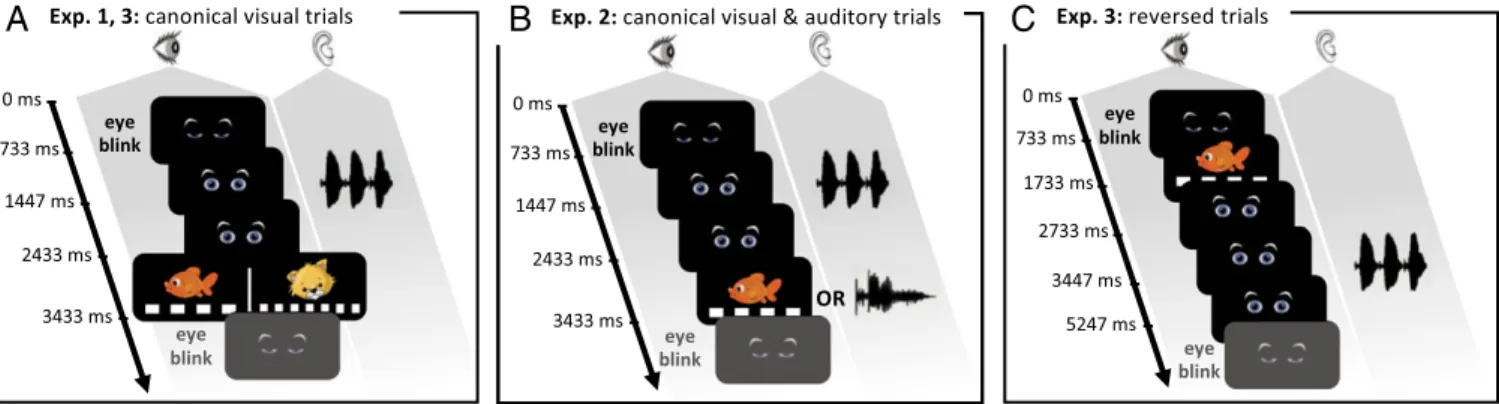 Fig. 1. Experimental paradigms. Trials began with blinking eyes. In canonical trials, a trisyllabic word was then presented, followed ∼ 1 s later by an image (a lion or a fish) presented on a flickering background (10 and 15 Hz) in experiments 1 and 3 (A),