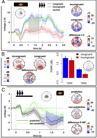 Fig. 2. Three neural signatures of learning in experiment 1. (A) Late vio- vio-lation of expectations