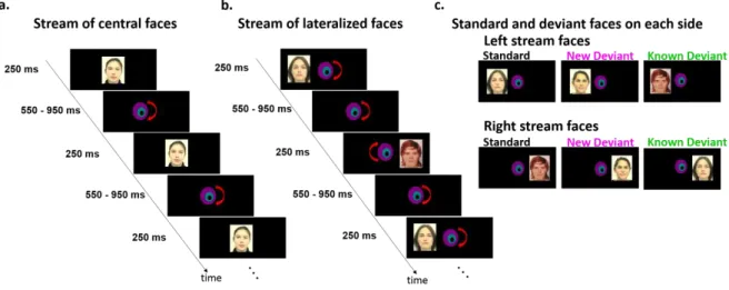 Figure 1: EEG experimental paradigms 