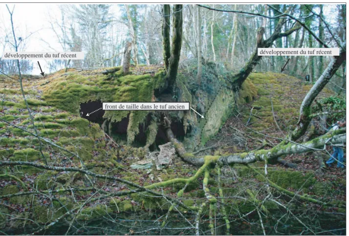 Figure A.50. Influence d’un front de taille dans la tuffière de Rolampont (Haute-Marne) sur le  développement du tuf calcaire actif.