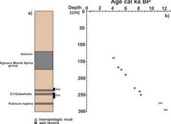 Fig. 2. (a) Lithology as a function of depth of the core MD90-917.