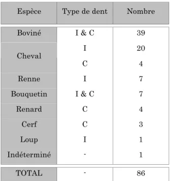 Tableau 7 : Nombre de dents animales perforées   d’Arudy par type spécifique 