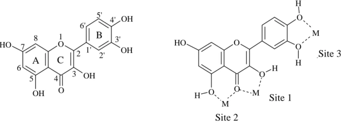 Figure 7 : structure de la quercétine, numérotation des positions et des cycles, et sites potentiels de chélation