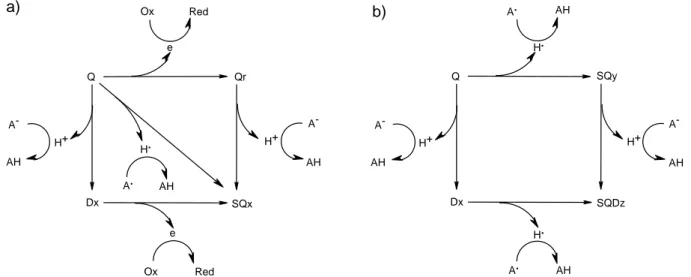 Figure 7 : Cycles thermodynamiques impliquant les formes activées de la quercétine. 