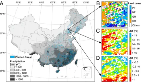 Fig. 1. Spatial distribution of planted forest in China and an example of a 40 × 40 km sample area