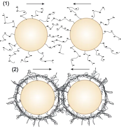 Fig. 1.10 { Sh emas des di erents types de stabilisation : (1) la r epulsion  eletrostatique d'un polym ere