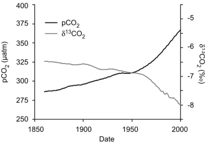 Table 1. A Summary of the Experiments Conducted in This Study