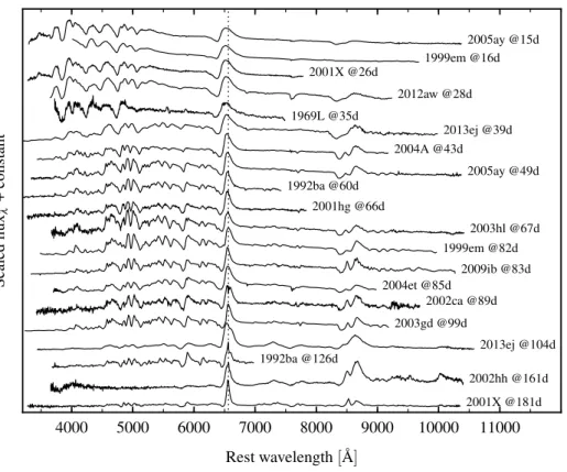 Figure 3.9 – Same as Figure 3.8, but for standard SNe II-P. Note the wider line profiles for standard II-P throughout the evolution.