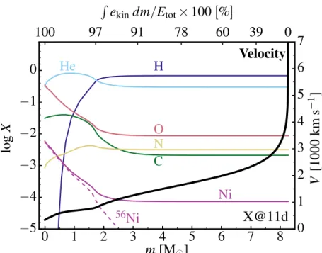 Figure 4.3 – Variation of the mass fraction for H, He, C, N, O, and Ni (the dashed line gives the contribution from the 56 Ni) with interior mass and velocity (thick line; see right axis) for model X at 11 d