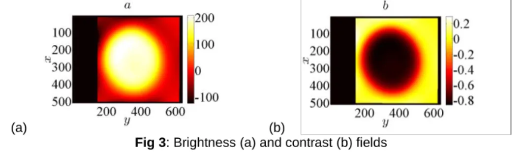 Fig 2: Displacement fields at the end of a thermal shock expressed in pixel. (1pixel=15m)  (a) Vertical U x  and (b) horizontal U y  components 