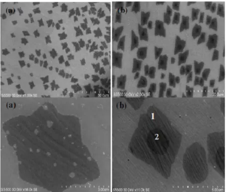 Fig. 6. FEG SEM views of graphene ﬂ akes obtained a) without, and b) with enclosure under 9 mTorr of methane.