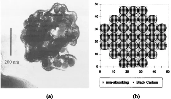 Figure 5a shows  a transmission  electron microscope  (TEM)  photograph of a smoke particle composed of a closed cluster  aggregate and, apparently, a coating of lower density material