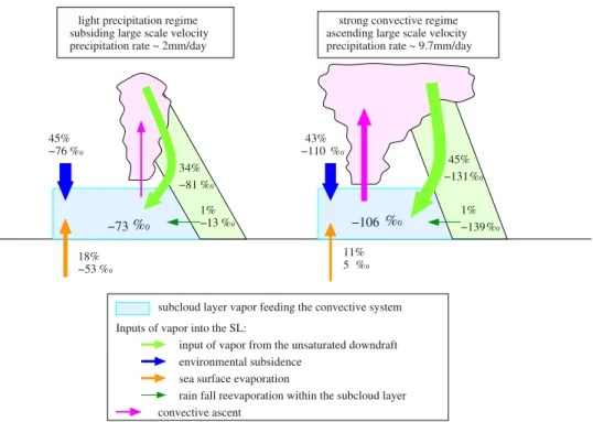 Figure 4. Illustration of what controls the isotopic composition of the water vapor in the subcloud layer.