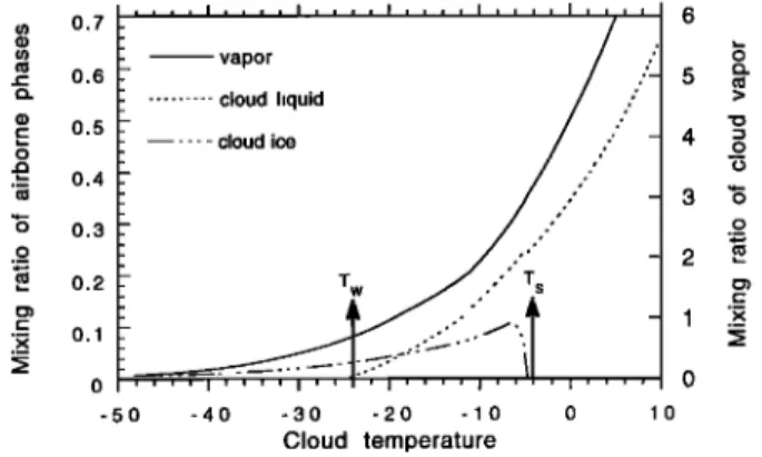 Figure 5.  Mixing ratios of the different constituents  in the  cloud  for  the  standard  run  of  the  MCIM  model