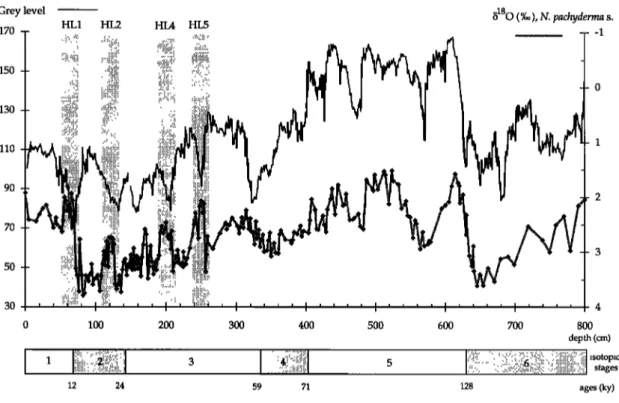 Figure 5. Comparison  between  isotopic  5180 record  of N. pachyderma  s. (diamonds)  and the grey level record of  core SU90-08