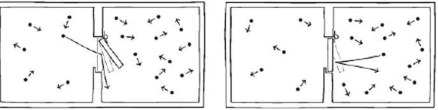 Figure 6.1 La trappe de Smoluchowski (Norton 2005)