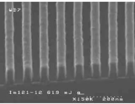 Fig. 5: 55-nm-half-pitch photoresist lines printed with the immersion double diffraction  interferometer with a home made grating as beam splitter 