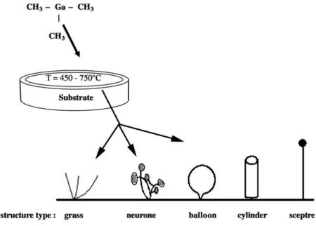 Fig. 1. Picture representing 3D structures grown by exposure of a substrate to a TMGa organometallic precursor flow ( ∼ 1 sccm)