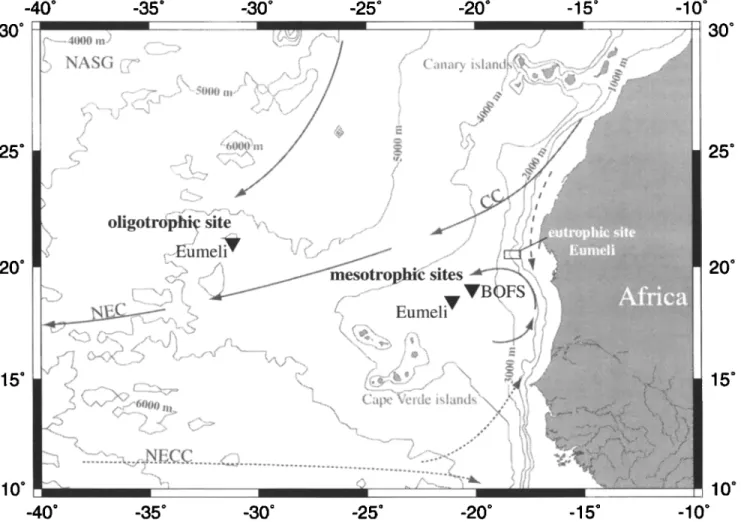 Figure  1.  Mooring locations (solid triangles), bathymetry, and schematic near-surface circulation