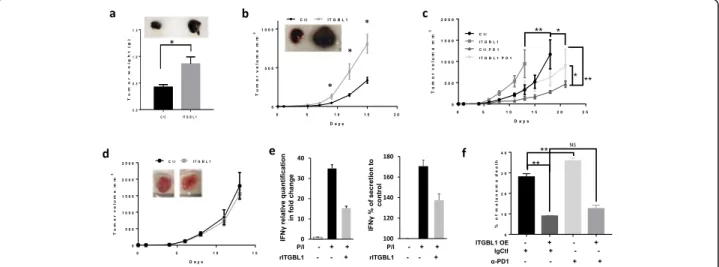 Fig. 2 ITGBL1 modulates tumor growth by inhibiting natural killer. a 0.15 × 10 6 B16F10 cells overexpressing or not ITGBL1 were injected subcutaneously in C57BL/6 J, and tumor weight was monitored after 12 days (mean tumor weight in g ± s.e.m.)