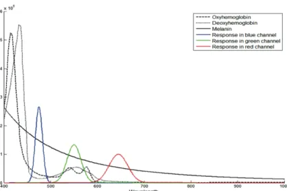 Figure 6. Spectral absorption of major chromophores from 400nm to 1,000nm based on the published data (Jacques  1998), and their relation with spectral responses of conventional RGB digital cameras