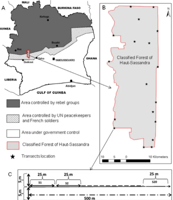 Fig. 1. Location of classified forest of Haut-Sassandra in Ivory Coast (A), site of floristic data sampling (stars, B) and illustration of segments on a transect (C).