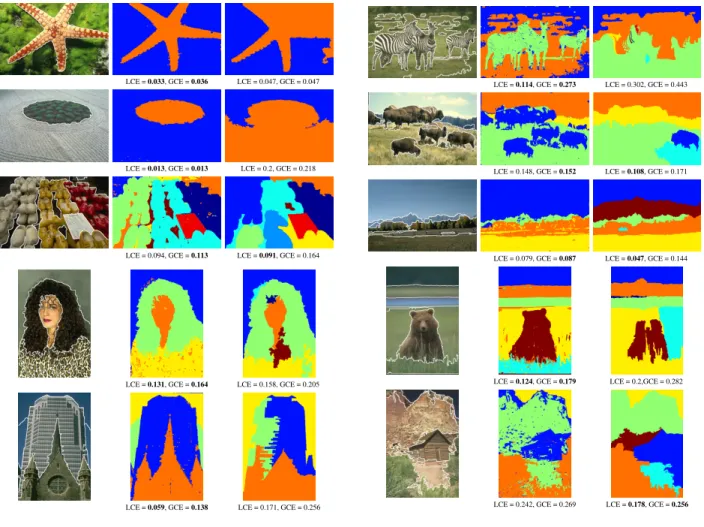 Fig. 6. Segmentation of natural images: some results obtained using the TFR algorithm on several color images taken from the Berkeley Segmentation Dataset