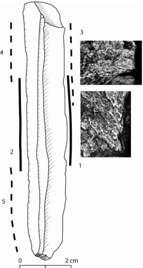 Figure  4.  Blade  in  non  heated  Bédoulien  flint  in  La  Combe  site,  used  without  any  retouch