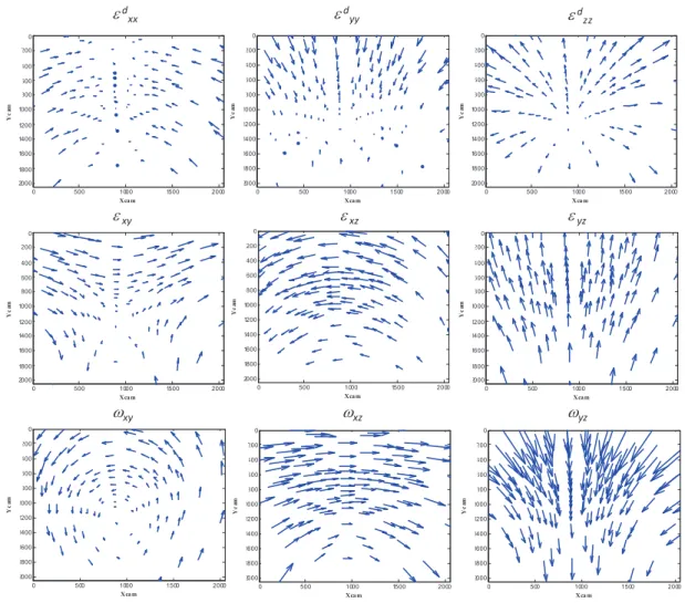 Fig. 4. Theoretical effect of each component of the deviatoric elastic strain tensor and the lattice rotations on the Laue spot displacement field of the Si sample considered during this experiment